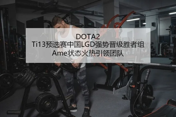 DOTA2 Ti13预选赛中国LGD强势晋级胜者组 Ame状态火热引领团队